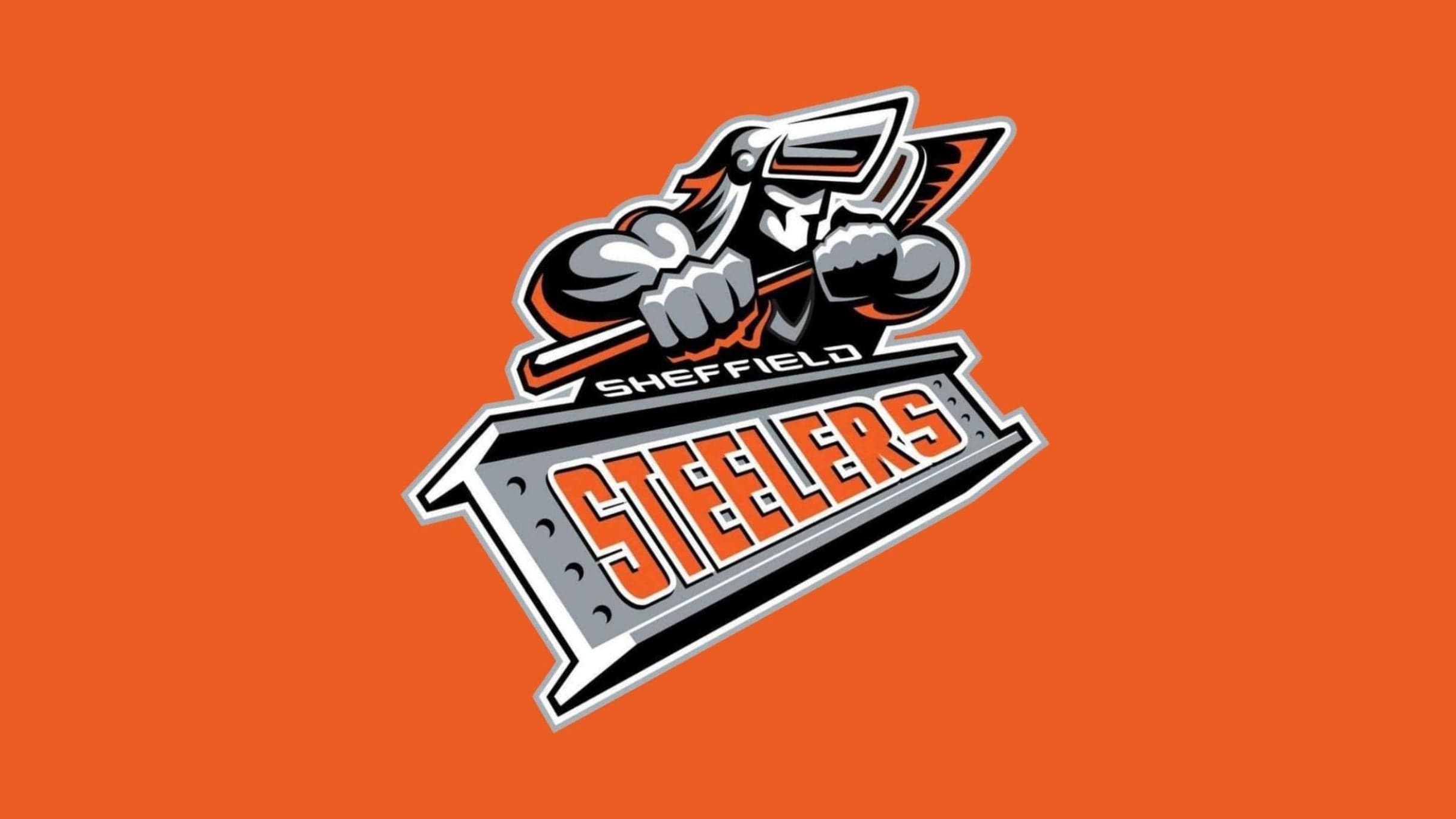 Steelers v Blaze